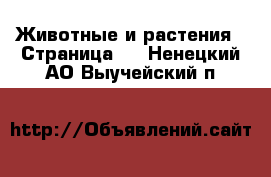  Животные и растения - Страница 2 . Ненецкий АО,Выучейский п.